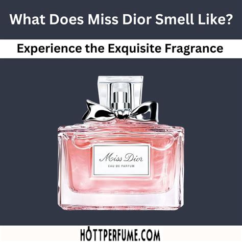 now smell this miss dior